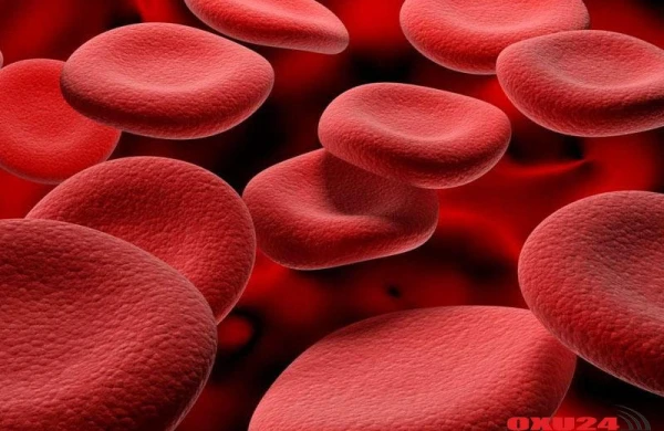 "Azərbaycanda anemiya və bu kimi xəstəliklərin aradan qaldırılması ilə bağlı qanun qəbul ediləcək" - Deputat