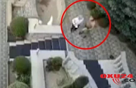 SON DƏQİQƏ! İqtisad Universitetinin rektoruna bağ evində sui-qəsd oldu