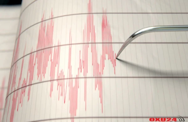 Qonşu ölkə yenə "silkələndi"