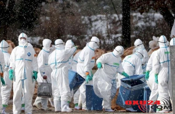 36 saatda 80 milyon insan tələf olacaq - Təhlükəli virus