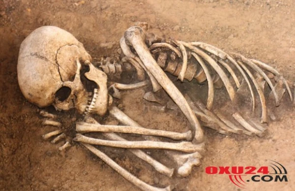 Alimlər ölünün parçalanmasını lentə aldı: 17 ay hərəkət edirmiş