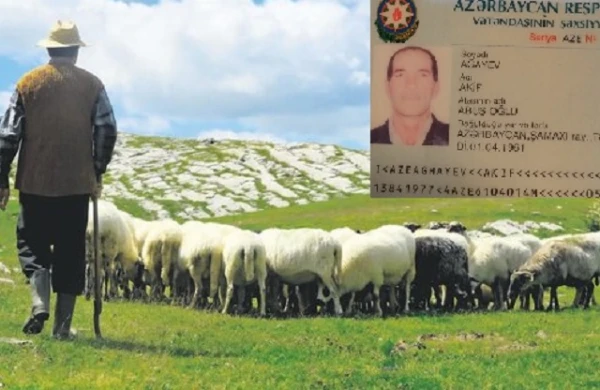 Çoban Vilayət Eyvazovdan kömək istədi:  Qobustanda  nə baş verir?