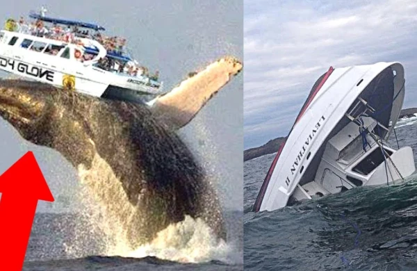 Bu görüntülər sizi şoka salacaq