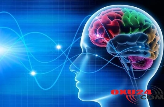 Nə etmək lazımdır ki yaddaşımız itməsin&nbsp;