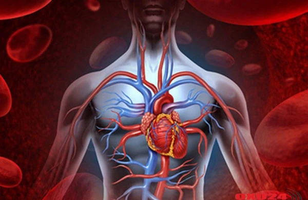 Bu məhsullar orqanizmi yavaş-yavaş məhv edir - SİYAHI