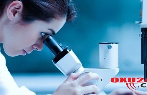 Alimlər xərçəng xəstəliyinin əsas səbəbini açıqladılar