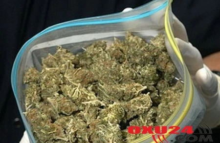 Avropa Birliyi tibbi marixuananın istifadəsinə icazə verdi – İLK DƏFƏ