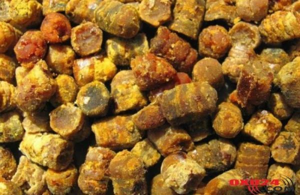 Arıların ayaqlarındaki möcüzəvi qida – Minbir dərdin dərmanı imiş