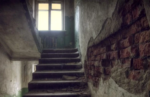 Qorxunc hadisə: Evə girən yanğınsöndürənlər mənzildə itlə qadın skeleti tapdı