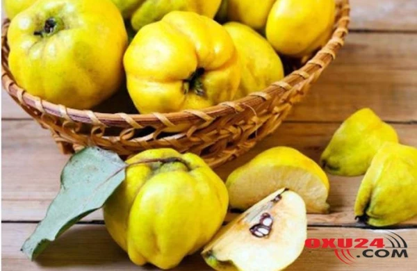 Heyvanın möcüzələri hər kəsi heyrətləndirir  