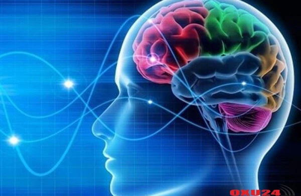 İnsan ölümdən əvvəl nə hiss edir? - Alimlər açıqladı