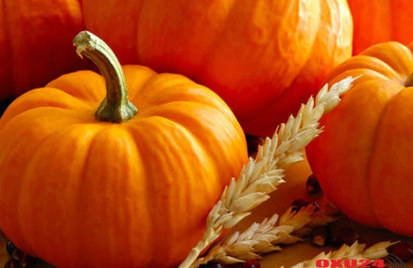 Kəpəz qəsəbəsində DƏHŞƏT - Polis anasını iş yoldaşı ilə intim əlaqədə olarkən tutdu - FOTO