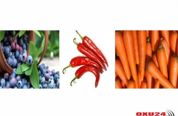 Göz üçün faydalı qidalar