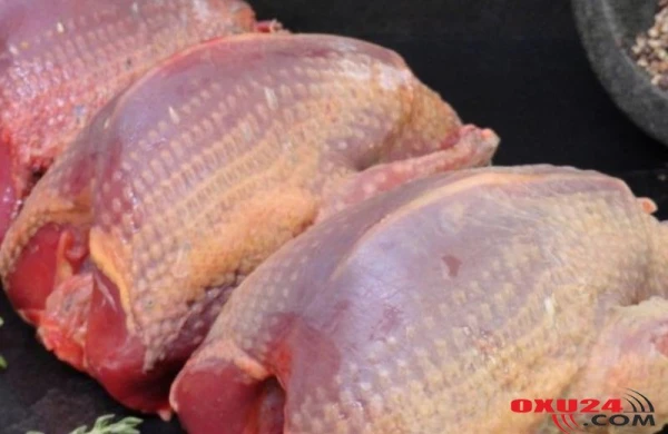 Təzyiq, piylənmə, xərçəng... - GÖYƏRÇİN ƏTİNİN FAYDALARI