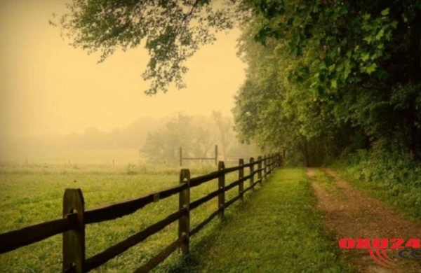 Azərbaycana yay havası qayıdır - Bu ərazilərdə 30 dərəcə isti olacaq