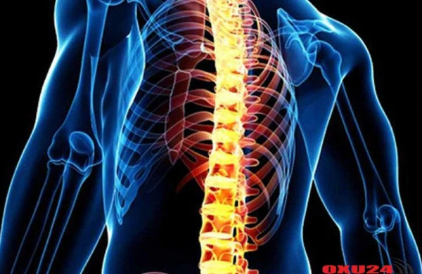 Fəqərə sürüşməsi nəyə səbəb olur? 12 Oktyabr 2019