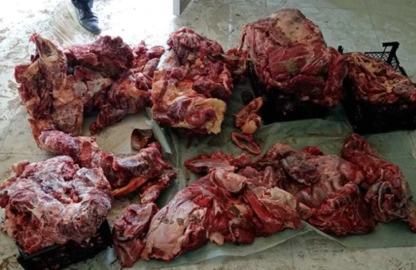 Leş ət satan “Bala Tofiq” tutuldu