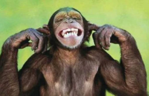 İnsan genləri meymuna yeridildi - Nəticə şok etdi