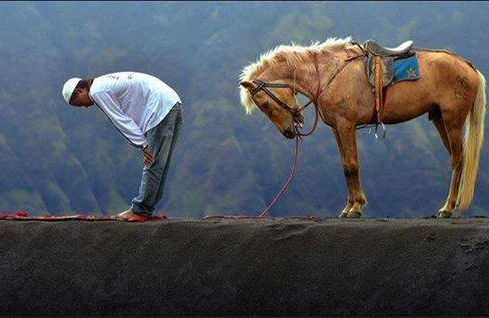 Sahibi ilə namaz qılan at -Tükləri ürpədən görüntü