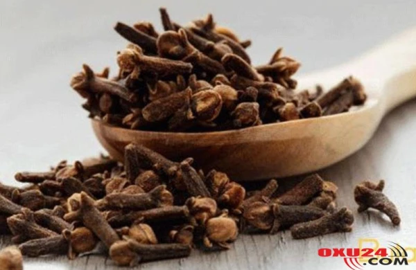 Mikrobları, qurdları və xərçəng hüceyrələrini öldürən ƏDVİYYAT