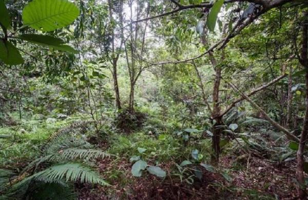 Fotoda 12 əsgər harada?