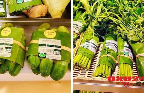 Plastik qablaşdırma əvəzinə banan yarpağı