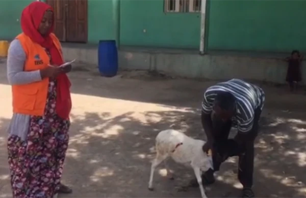 Xuraman Şuşalı 4-cü dəfə ana oldu, qızı üçün Afrikada qurban kəsdirdi - VİDEO