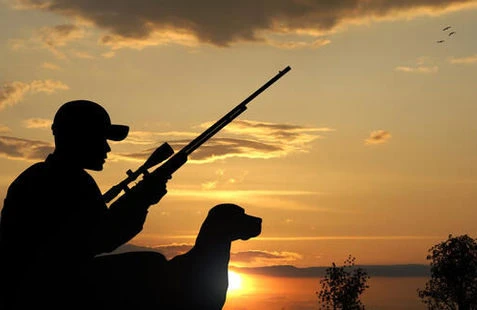 Ov itləri hamilə qadını öldürdü