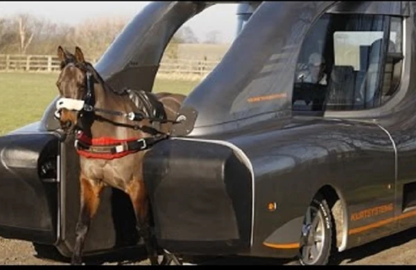 Atın gücü necə ölçülür? - Maraqlı fakt