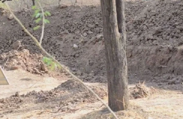 Fotoda heyvan harada gizlənib? — Dünyaca  məşhur  TEST