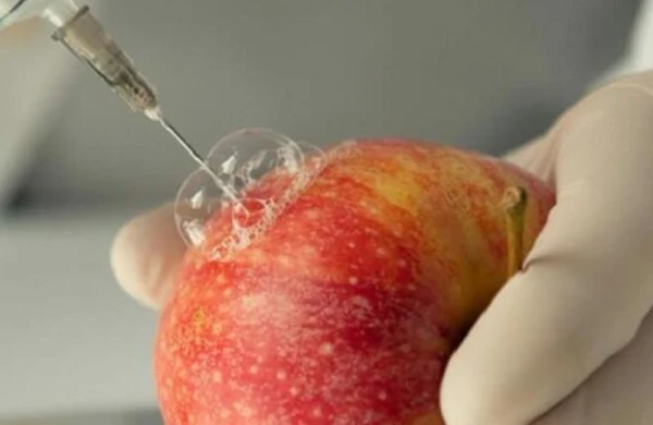 Həkimlərdən DƏHŞƏTLİ XƏBƏRDARLIQ: Bu qidaları yeyirsinzsə...