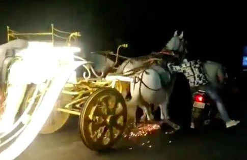 Dəhşətli görüntü: Fayton alışdı,atlar insanları əzib keçdi