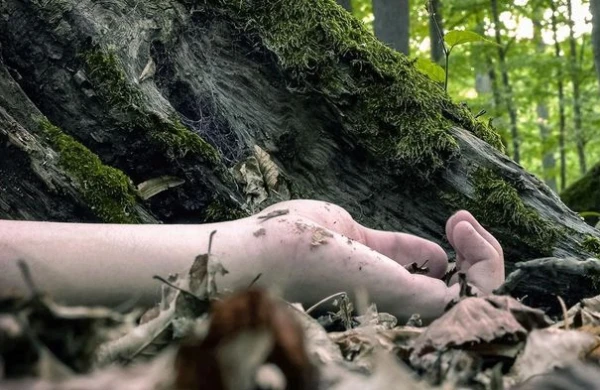 Bakıda çürümüş  qadın  meyiti  tapılıb