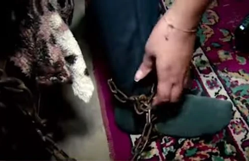 Bakıda dəhşət: Zəncirlənən uşağı açdılar, görün nə etdi (VİDEO)