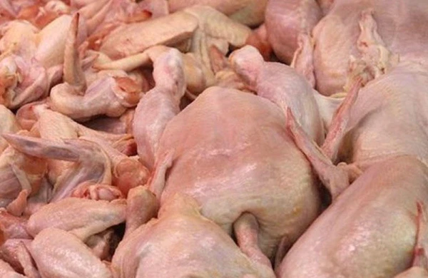 Bu toyuqlar uşaqlarda vaxtından tez cinsi yetişkinlik yaradır?