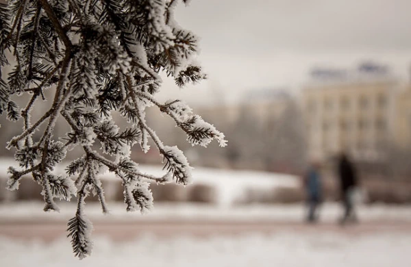 3 dərəcə şaxta, güclü külək - Həftənin ilk gününün HAVASI
