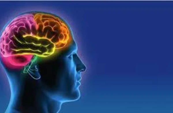 Yaddaşı 20 %-ə qədər artırmaq mümkün oldu - ARAŞDIRMA