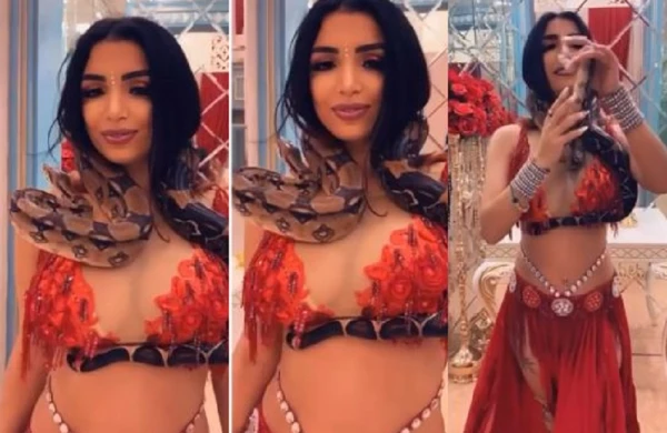 Bakıda rəqqasə boynuna ilanı dolayıb toya gəldi —  Qonaqlar qorxuya düşdü (VİDEO)