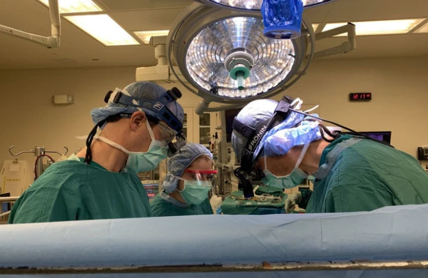 Həkimlər  ölən adamın  ürəyini  çıxardı,ürək qəfil döyünməyə  başladı (18+VİDEO)