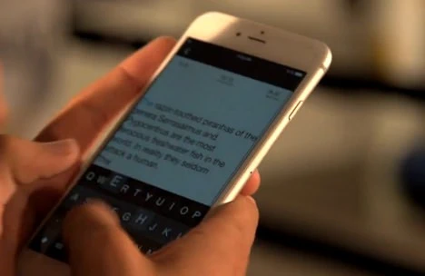 Ərdə olan bacısına sevgi mesajları yazan gənci avtovağzalda tutdu - TƏFƏRRÜAT