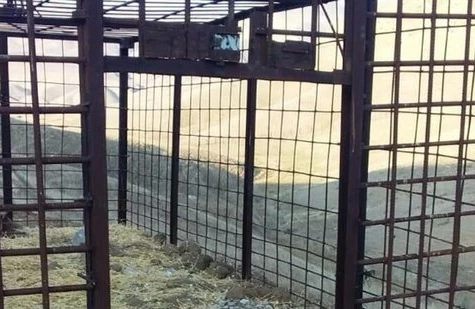 Azərbaycanda hər kəsi ŞOKA SALACAQ HADİSƏ: tələ qurur və nizə ilə... - FOTO