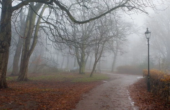 Bakının üzərini alan dumanla bağlı AÇIQLAMA