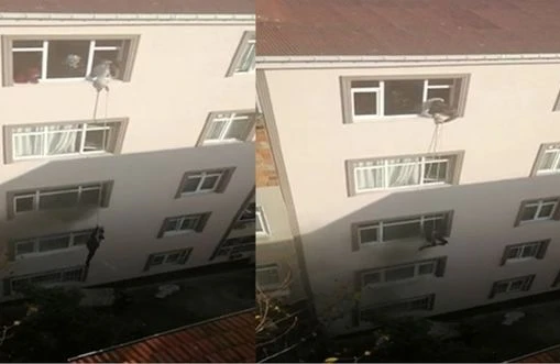 Azərbaycanlı hamilə qadını qonşuları yanan binadan kəndirlə çıxardılar +VİDEO