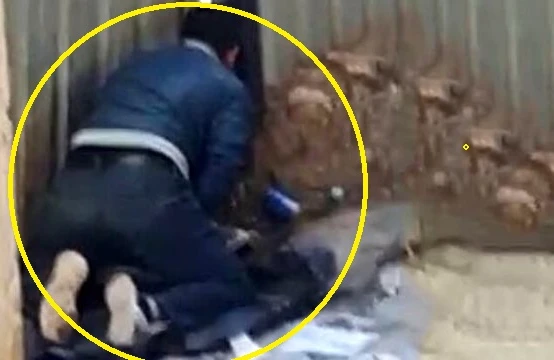 Küçədə qadına təcavüz edən şəxs kameraya düşdü (18+VİDEO)