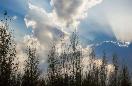 Sabahın havası: Külək əsəcək