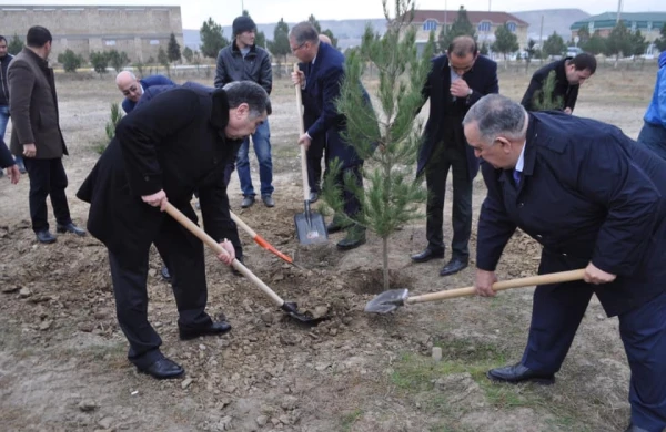 Yeni icra başçısı “lapatka” götürüb işə başladı - FOTO
