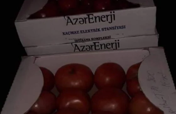 "Azərişıq" işçilərinə "bayrampulu" əvəzinə 2 kq pomidor paylayıb — FOTO