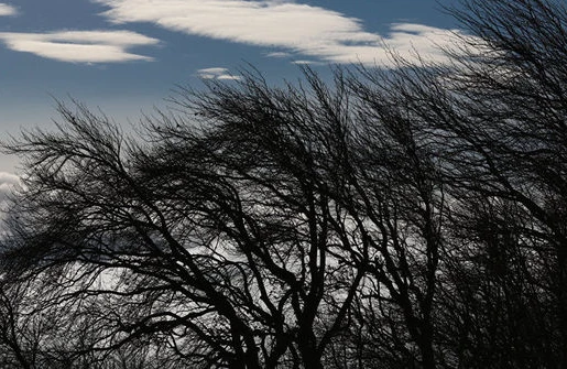 Sabahdan ölkə ərazisində hava soyuyacaq