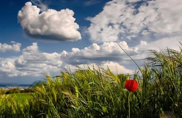Sabah Azərbaycanda yaz havası olacaq - PROQNOZ