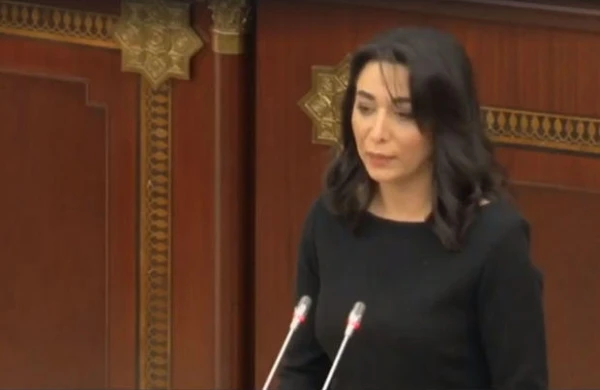 Ombudsman Tovuzda azyaşlının qətli ilə bağlı Baş prokurora müraciət edib